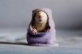 /album/dieren/sok-jpg/